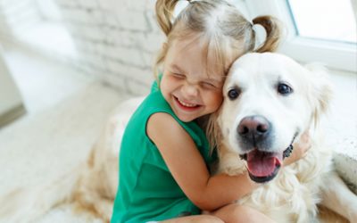 Eres mi amigo fiel: mascotas en casa