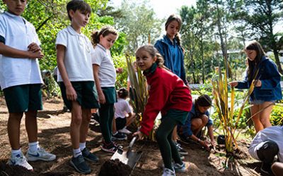 Día del Agua,  Plantación de árboles en Punta del Este